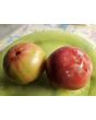 Tomato 'Red Rose' Seeds (Certified Organic) 
