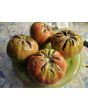 Tomato 'Flathead Monster Pink' Seeds (Certified Organic)