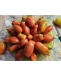 Tomato 'San Marzano Long 2' Seeds (Certified Organic)