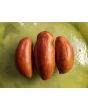 Tomato 'Casady's Folly' Seeds (Certified Organic) 