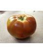 Tomato 'Cannonball' Seeds (Certified Organic)