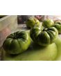 Tomato 'Green Giant' Seeds (Certified Organic)
