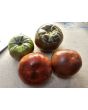 Tomato 'Black From Tula' Seeds (Certified Organic)