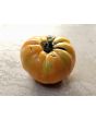 Tomato 'Azoychka' Seeds (Certified Organic)