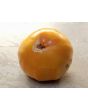 Tomato 'Azoychka' Seeds (Certified Organic)
