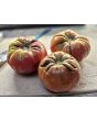 Tomato 'Flathead Monster Pink' Seeds (Certified Organic)