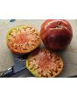 Tomato 'Flathead Monster Pink' Seeds (Certified Organic)