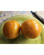 Tomato 'Golden Jubilee' Seeds (Certified Organic)