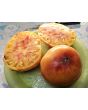 Tomato 'Big Rainbow' Seeds (Certified Organic)