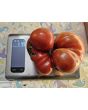 Tomato 'Flathead Monster Pink' Seeds (Certified Organic)