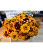 Zinnia 'Aztec Sunset Mix' Seeds (Certified Organic)