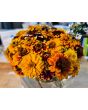 Zinnia 'Aztec Sunset Mix' Seeds (Certified Organic)