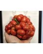 Tomato 'Reisetomate' Seeds (Certified Organic) 