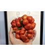 Tomato 'Reisetomate' Seeds (Certified Organic) 