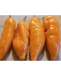 Hot Pepper 'Lemon Drop Orange' Seeds (Certified Organic)