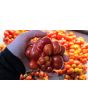 Tomato 'Reisetomate' Seeds (Certified Organic) 