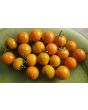 Tomato 'Small Orange Cherry RD' Seeds (Certified Organic)