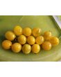 Tomato 'Mini Yellow Oval TR' Seeds (Certified Organic)