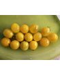 Tomato 'Mini Yellow Oval TR' Seeds (Certified Organic)