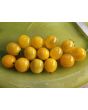 Tomato 'Mini Yellow Oval TR' Seeds (Certified Organic)