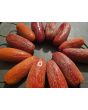 Hot Pepper ‘TAM Jalapeno’ Seeds (Certified Organic)