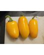 Hot Pepper 'NuMex Pumpkin Spice Jalapeno' Seeds (Certified Organic)