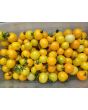 Tomato 'Medium Yellow Cherry Detroit' Seeds