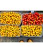 Tomato 'Medium Yellow Cherry Detroit' Seeds