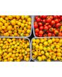 Tomato 'Medium Yellow Cherry Detroit' Seeds