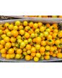 Tomato 'Medium Yellow Cherry Detroit' Seeds