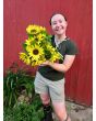 Sunflower 'Lemon Queen' Seeds