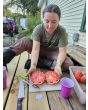 Tomato 'Bear Claw' Seeds (Certified Organic)