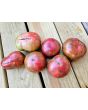Dwarf Tomato 'Fred's Tie Dye' Seeds