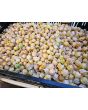 Ground Cherry 'Pineapple' Seeds