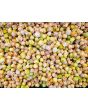 Ground Cherry 'Pineapple' Seeds