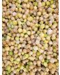 Ground Cherry 'Pineapple' Seeds