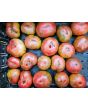 Dwarf Tomato 'Fred's Tie Dye' Seeds