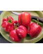 Sweet Pepper ‘Red Bell’ Seeds
