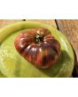 Tomato 'Rebel Starfighter Blane’s Moonlight' Seeds
