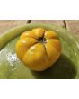 Tomato 'Three Fat Men Yellow' Seeds