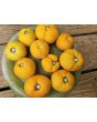 Tomato 'Yellow Fuzzy Boar' Seeds