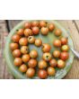 Tomato 'Idyll' Seeds
