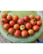 Tomato 'Maskotka' Seeds