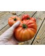 Tomato 'Big Zac' Seeds