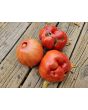 Tomato 'Big Zac' Seeds