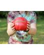 Tomato 'Bear Claw' Seeds (Certified Organic)