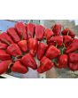 Hot Pepper ‘Leutschauer Paprika’ Seeds