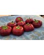 Sweet Pepper 'Pritamin Paprika' Seeds