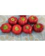 Sweet Pepper 'Pritamin Paprika' Seeds