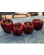 Sweet Pepper ‘Zulu' Seeds